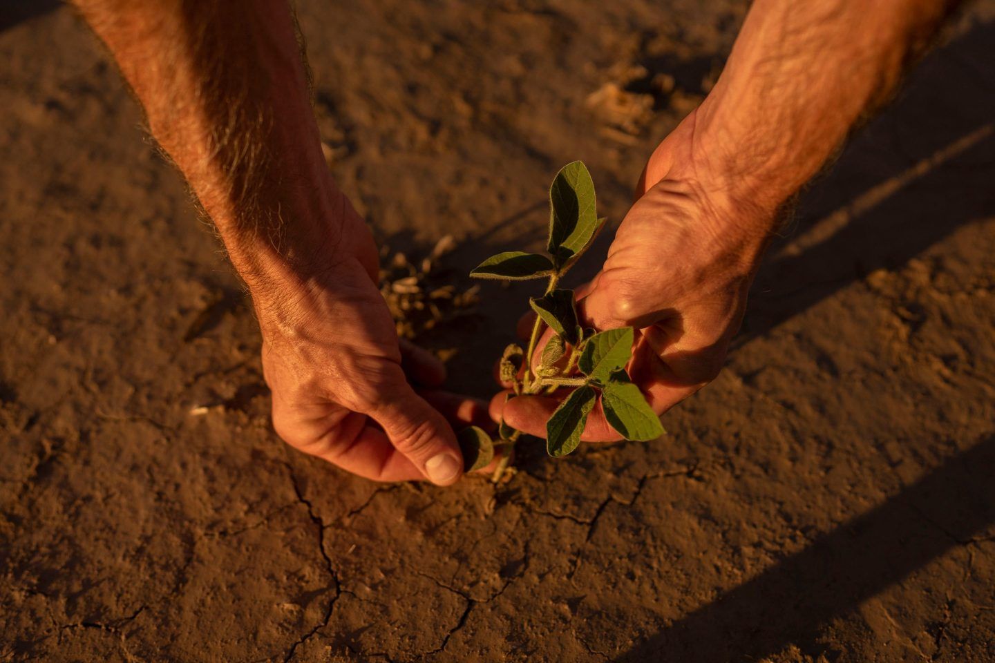 "This spring has so far been the driest for more than a century," the Met Office said.