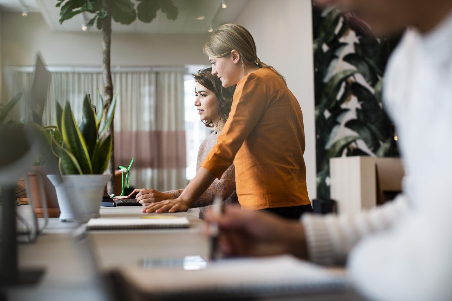 women using a computer at a desk