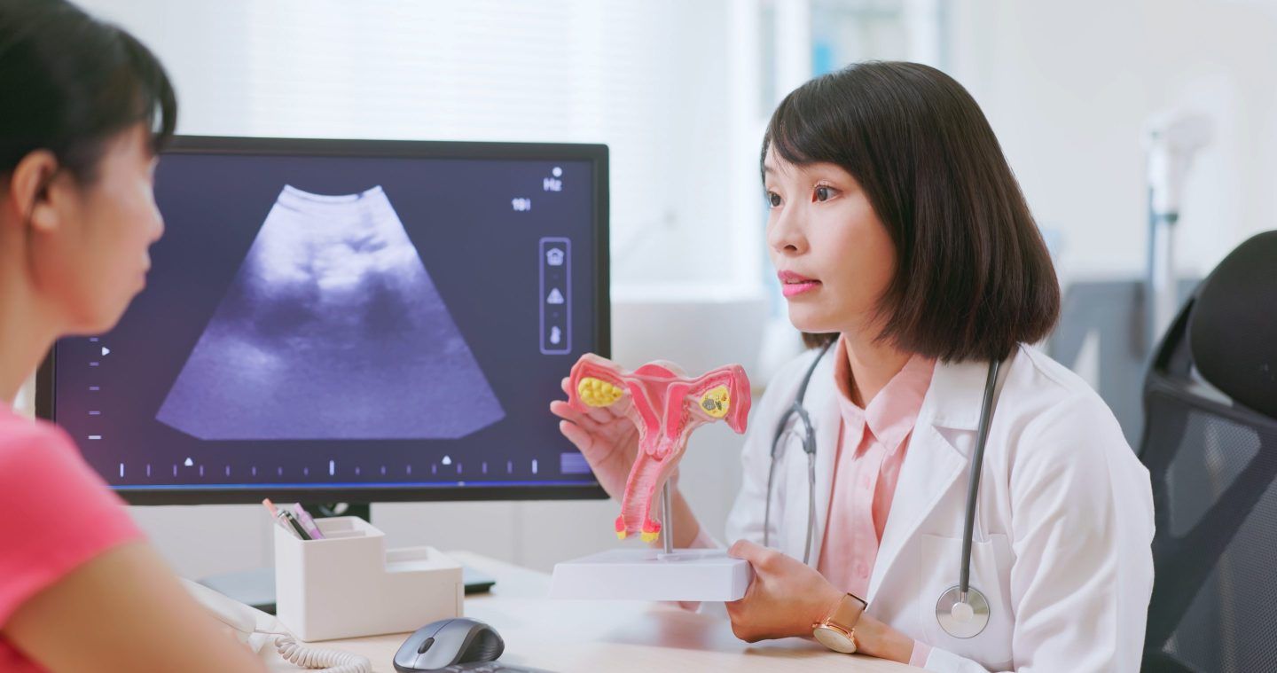 Doctor showing model of female reproductive system to patient