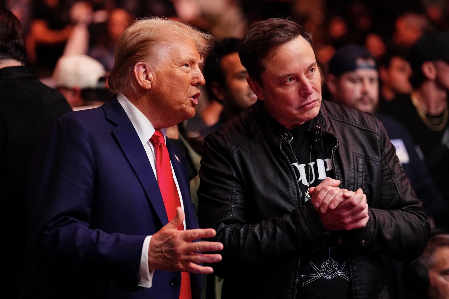 Donald Trump and Elon Musk during UFC 309 at Madison Square Garden in New York City on Nov. 16.