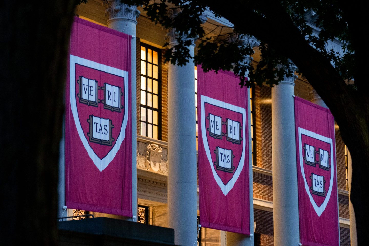 Banners on the Harry Elkins Widener Memorial Library at the Harvard University campus in Cambridge, Massachusetts, US, on Tuesday, May 27, 2025.