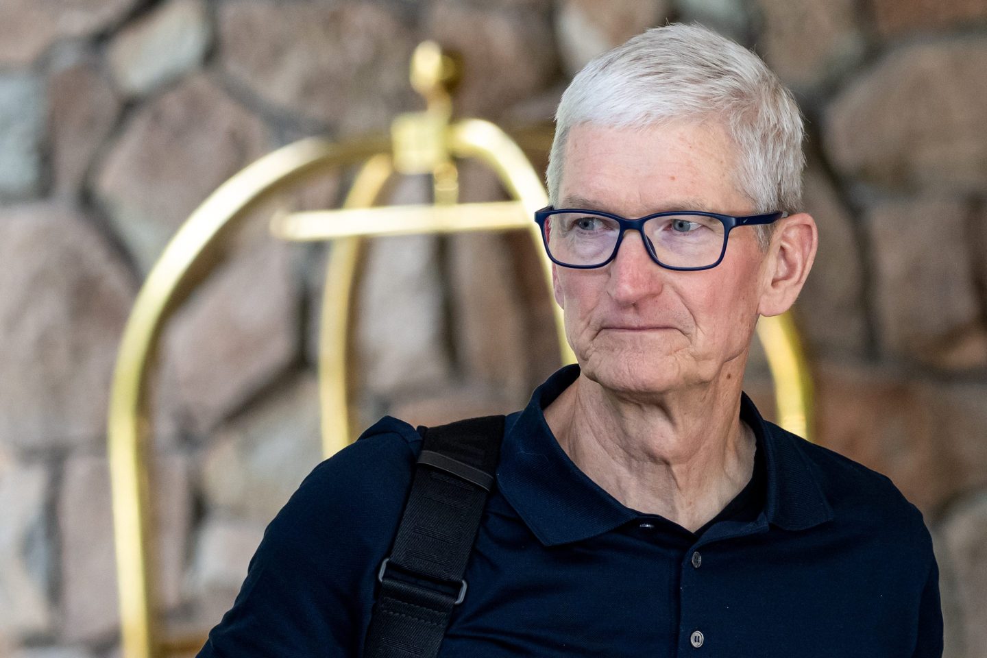 Tim Cook, Apple CEO.