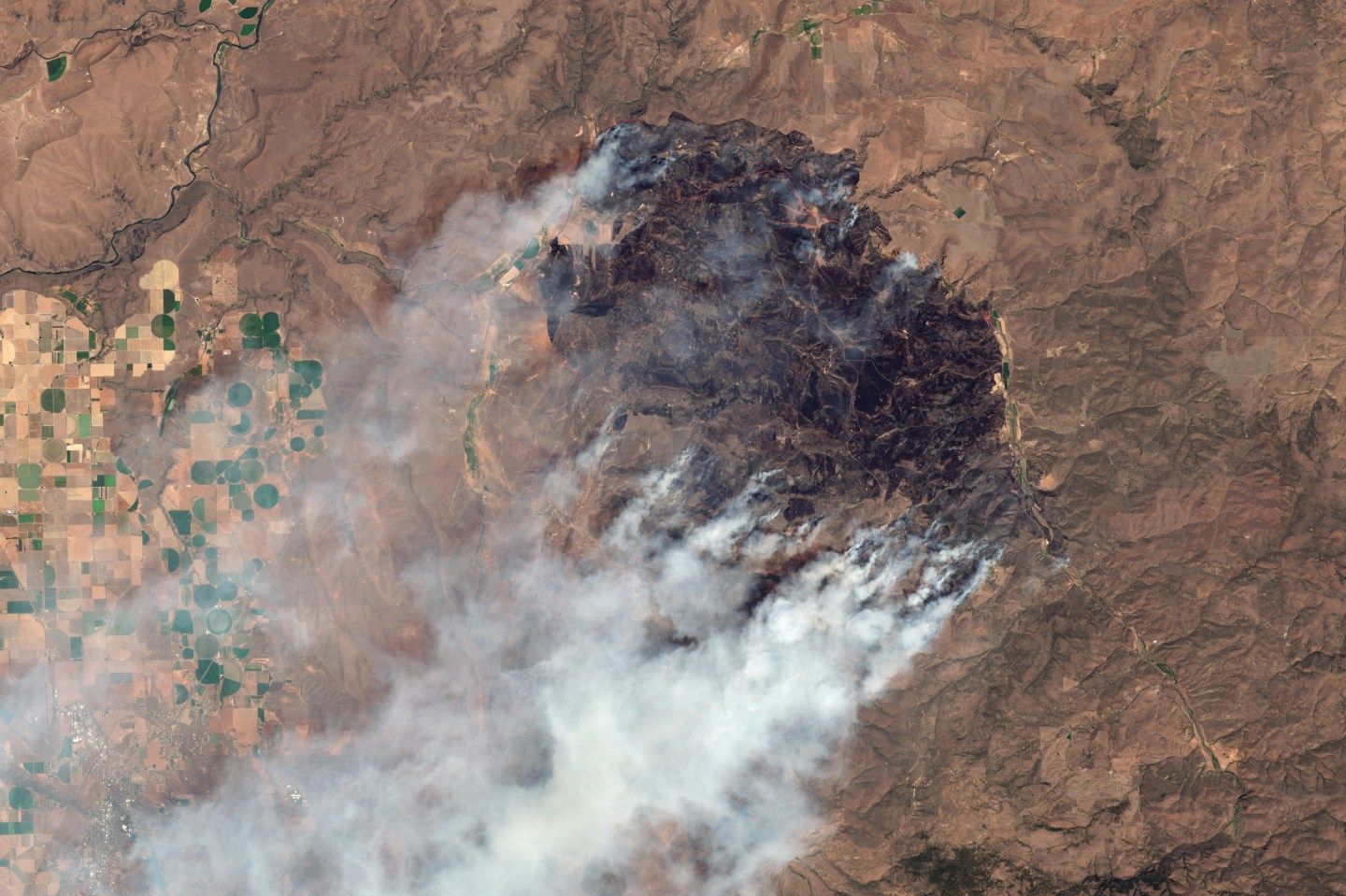 Photo: MADRAS, OR - 15 JULY 2025: A satellite view captures dense smoke plumes driven by extreme heat, gusty winds, and rugged terrain. The Cram Fire in Oregon is currently the state's largest active wildfire, burning over 64,000 acres near Madras and Ashwood. Firefighting crews, air support, and structure protection teams are working under emergency orders to contain the fast-moving wildfire. Imaged 15 July 2025. (Photo by Gallo Images/Orbital Horizon/Copernicus Sentinel Data 2025)