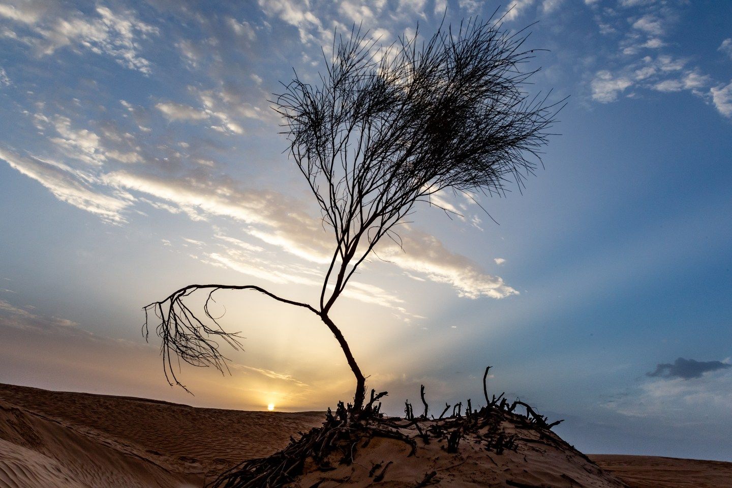 Sunset is seen over dunes of Eastern Sahara desert on on October 30, 2024 near Douz, Tunisia. (Photo by Dominika Zarzycka/NurPhoto via Getty Images)