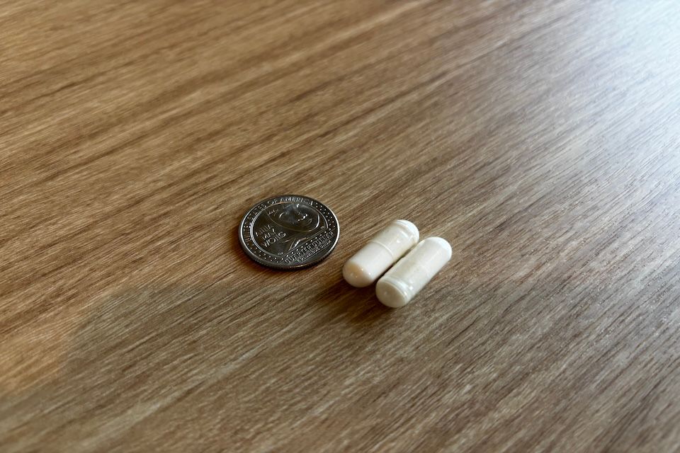 Best probiotic supplements