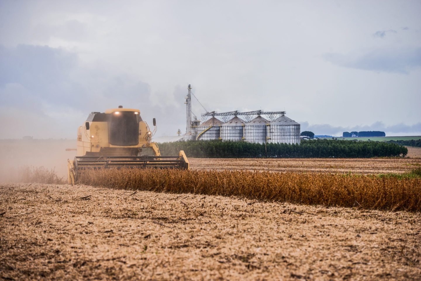 Combine harvester working in the harvest of a soybean crop with silos in the background.