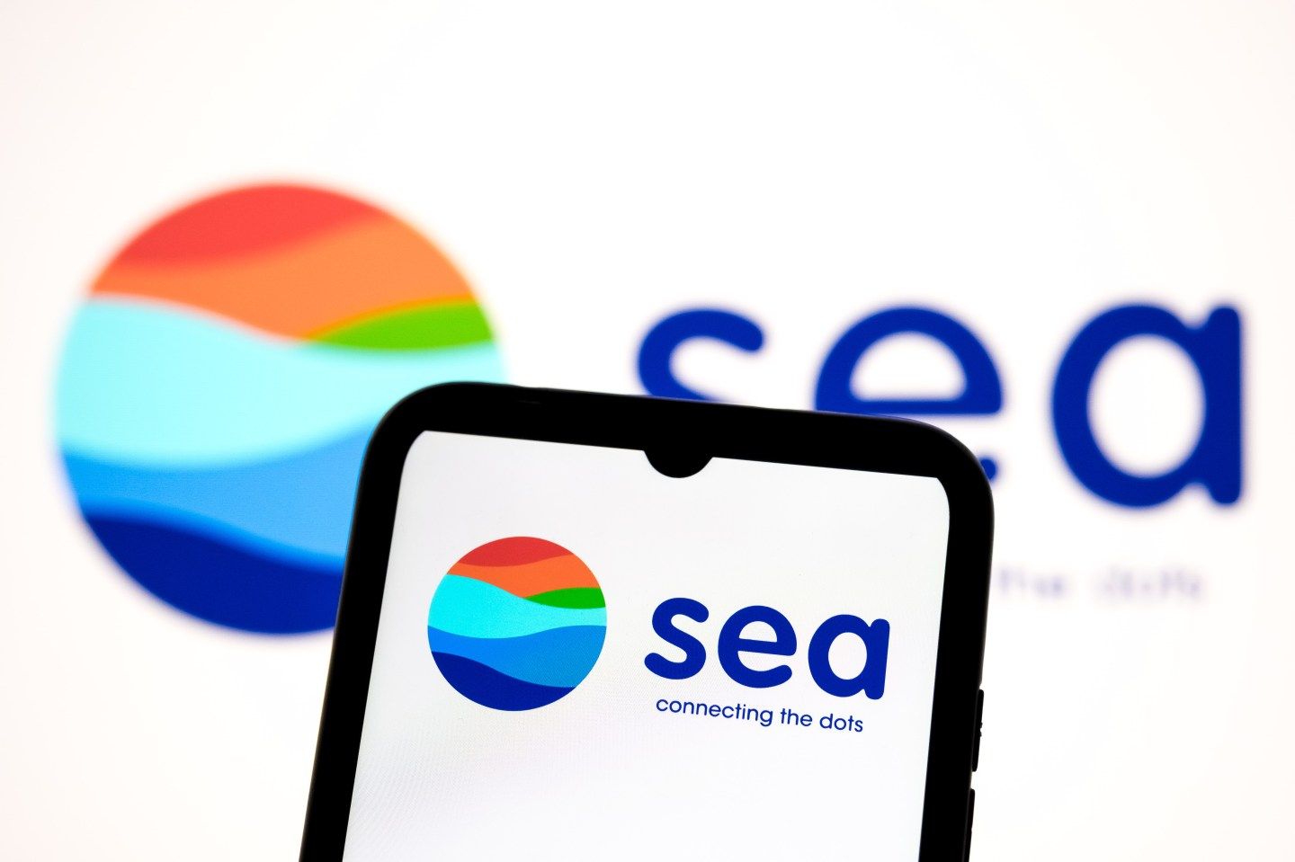 Sea shares dip by over 8% as profit comes in below analyst expectations
