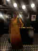 robe-de-soir-ee-dor-ee-caramel