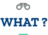 titre--what-bleu titre--what-bleu
