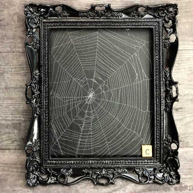 15 Best Web Wall Art