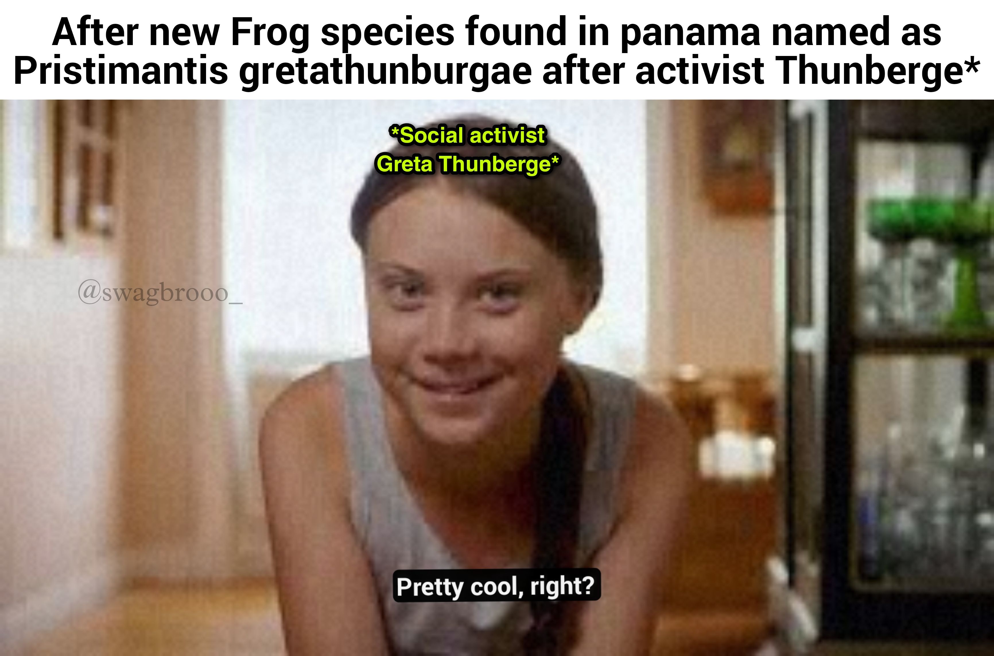New Species Of Frog Named After Greta Thunberg | Nyus - News through Memes