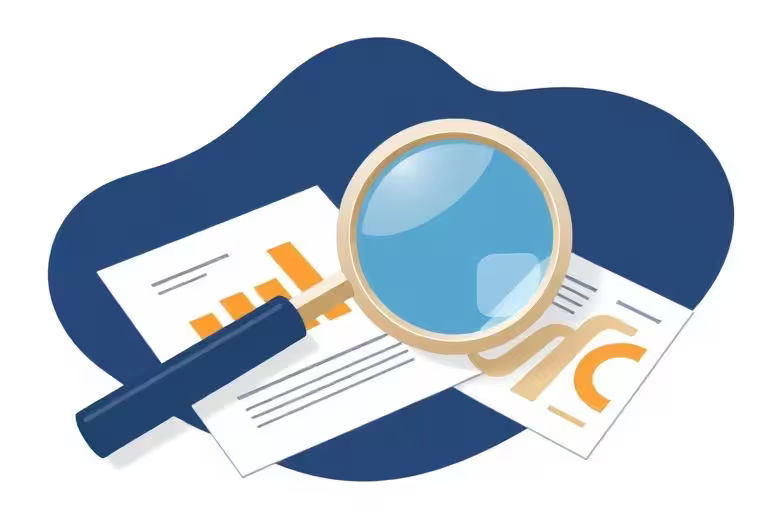 Audit Service (checking financial records)