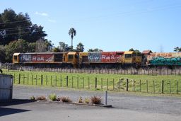 Auckland Freights