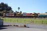 Auckland Freights