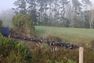 Waikato Freights