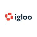 Igloo Software