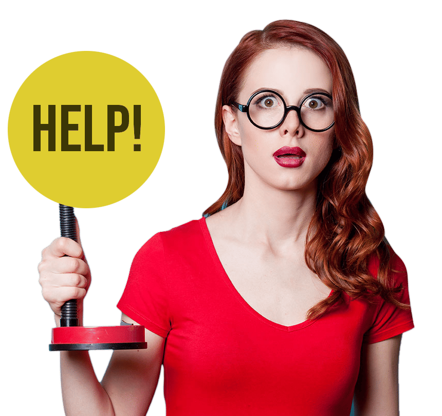 disaster recovery support