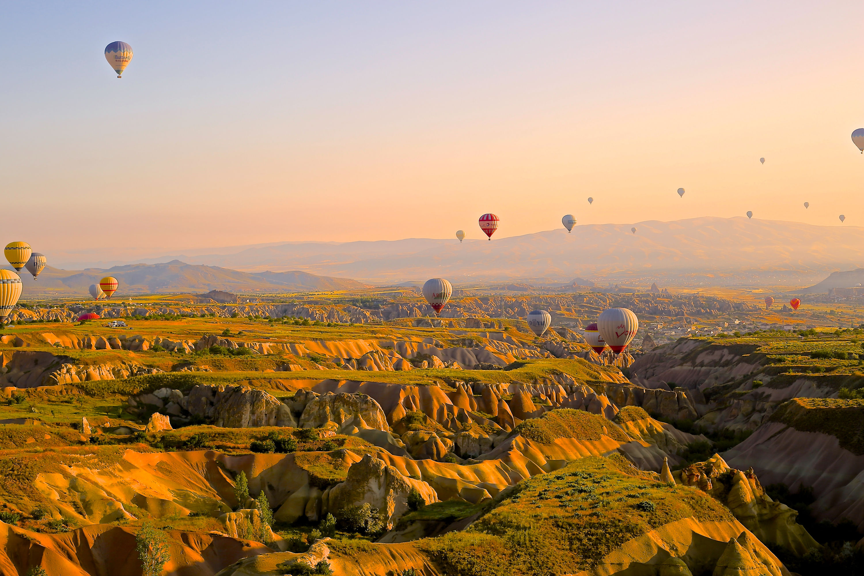 Hot air balloons rising over the volcanic valleys of Cappadocia at sunrise.