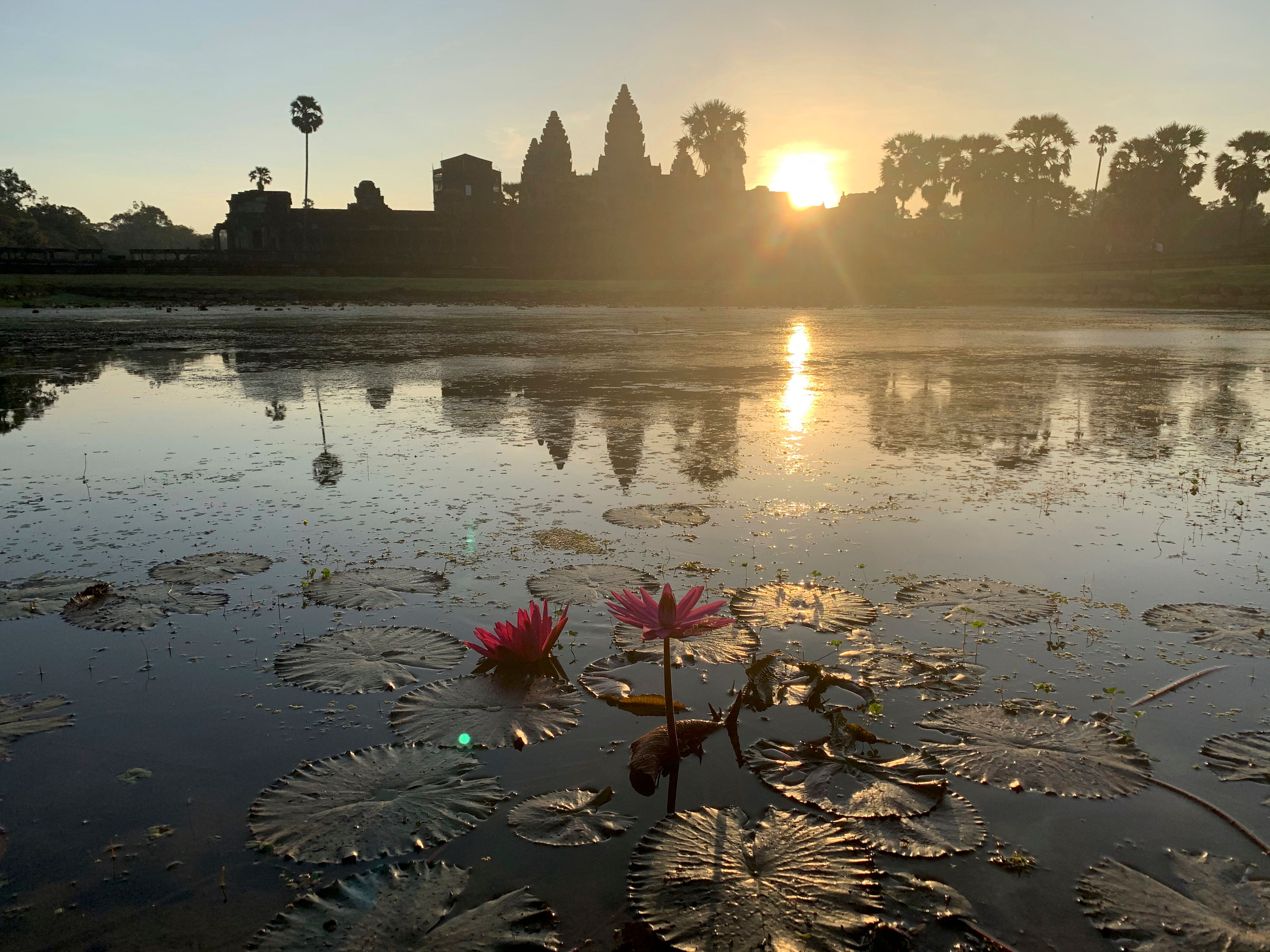 The silhouette of Angkor Wat at sunrise reflected in a lily pond.