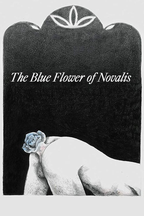 The Blue Flower of Novalis