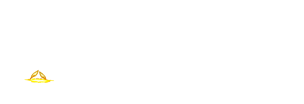 Logo Lazada.co.id Toko Online Indonesia