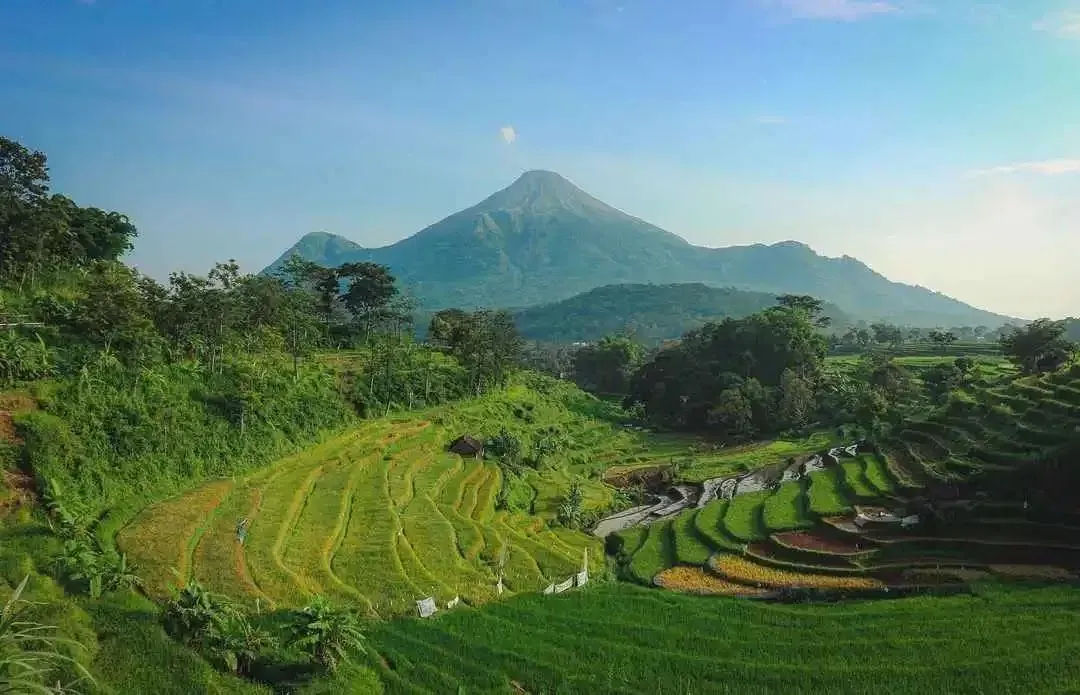 Image of: Kampung Sawah Soreang Damai untuk Healing Alami