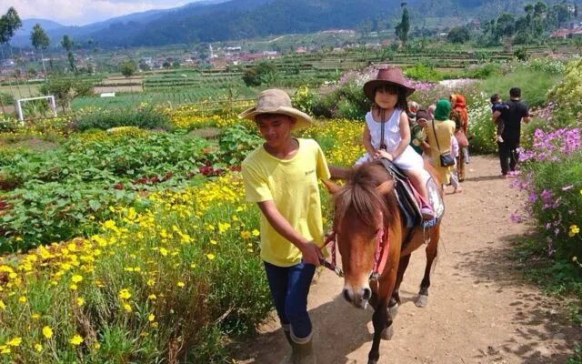 Image of: Wisata Ciwidey Ramah Anak Favorit Keluarga Bahagia