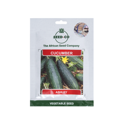 SEED-CO ASHLEY CUCUMBER SEEDS