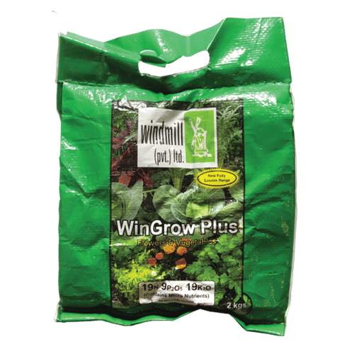 WINDMILL NPK19-09-19 WINGROW PLUS 2kg FERTILIZER
