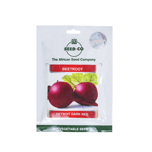 SEED-CO DETROIT BEETROOT SEEDS