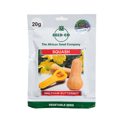SEED-CO 20g SQUASH BUTTERNUT SEEDS