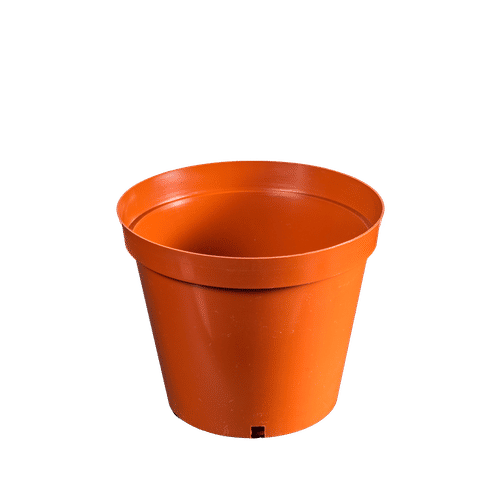 ROUND PLASTIC TERRA 15cm PLANT POT