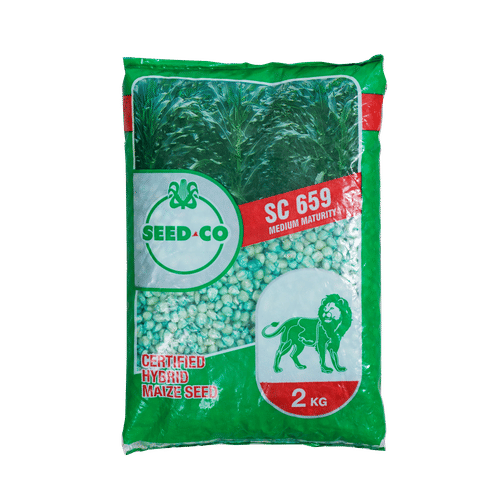 SEED-CO SC659 SHUMBA 2kg MAIZE SEED