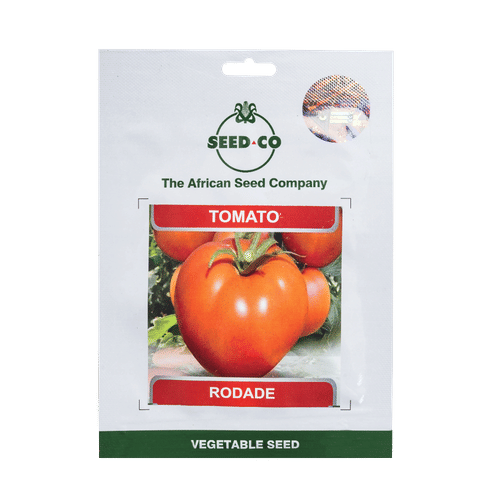 SEED-CO RODADE TOMATO SEEDS 