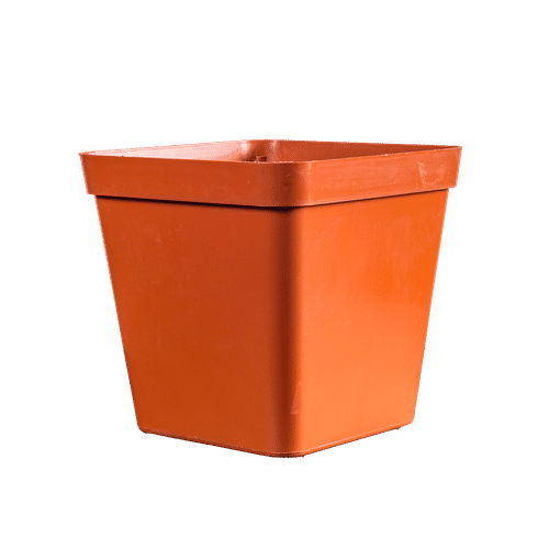 SQUARE PLASTIC TERRA 12.5cm PLANT POT