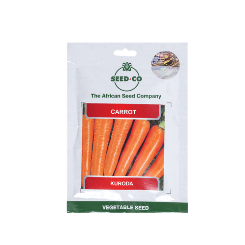 SEED-CO KURODA CARROT SEEDS