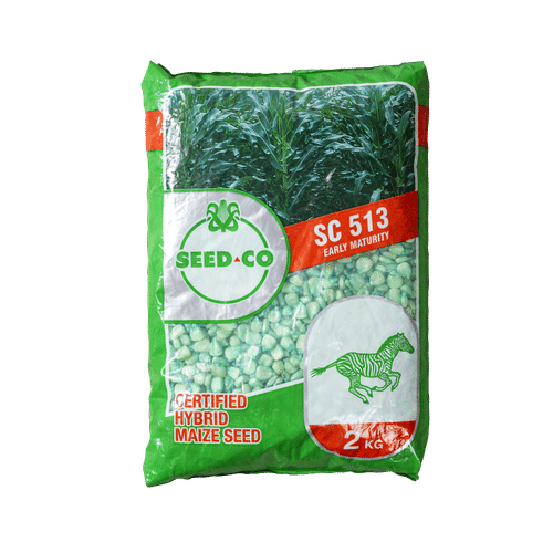 SEED-CO SC513 MBIZI 2kg MAIZE SEED