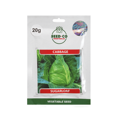 SEED-CO 20g SUGARLOAF CABBAGE SEEDS