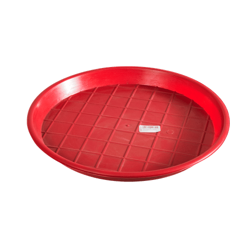 CHICK TRAY 