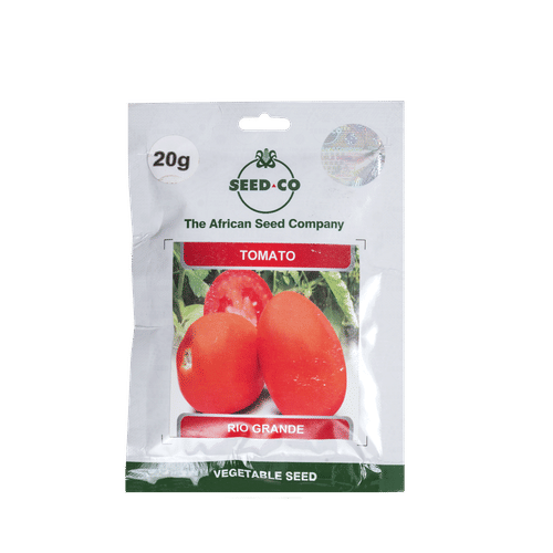 SEED-CO 20g RIO GRANDE TOMATO SEEDS