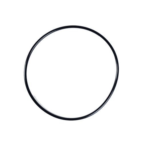 BIG BLUE REPLACEMENT O-RING FOR FILTER HOUSING