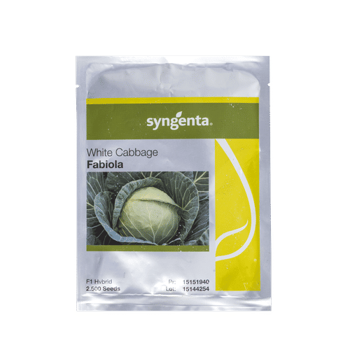 SEED-CO FABIOLA CABBAGE 2500 SEEDS