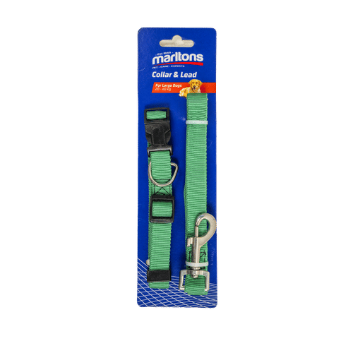 MARLTONS ADJUSTABLE COLLAR & LEAD SET