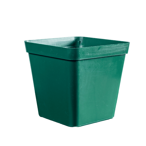 SQUARE PLASTIC GREEN 12.5cm PLANT POT