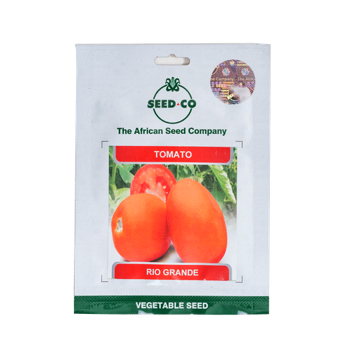 SEED-CO RIO GRANDE TOMATO SEEDS