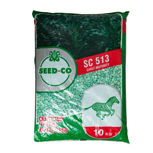 SEED-CO SC529 MBIZI 10kg MAIZE SEED