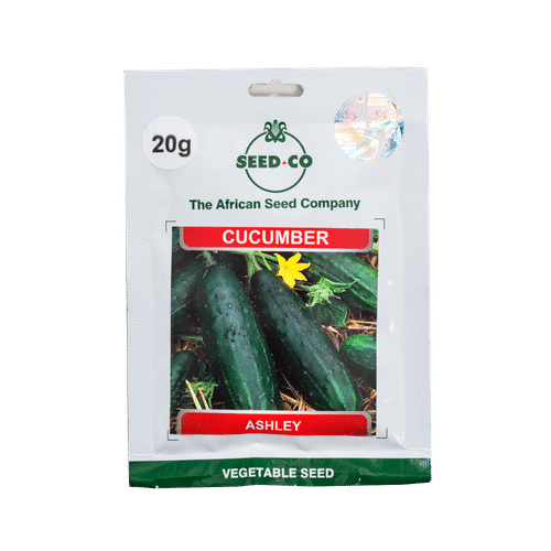 SEED-CO 20g ASHLEY CUCUMBER SEEDS