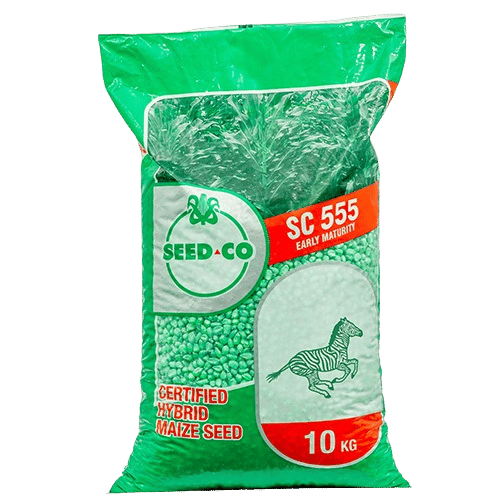 SEED-CO SC 555 (MBIZI) 10kg MAIZE SEED