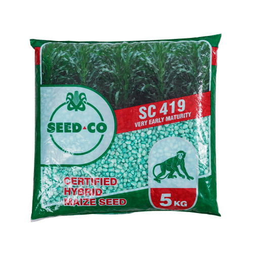 SEED-CO SC403/419 TSOKO 5kg MAIZE SEED