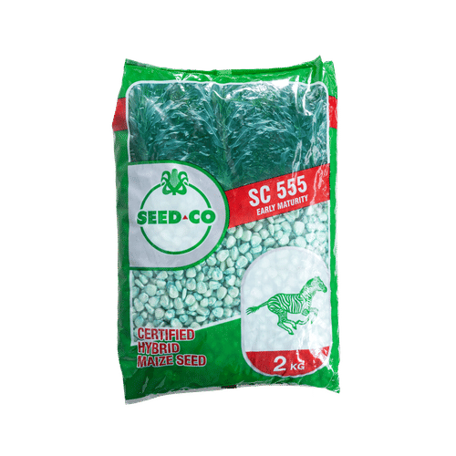 SEED-CO SC 555 (MBIZI) 2kg MAIZE SEED